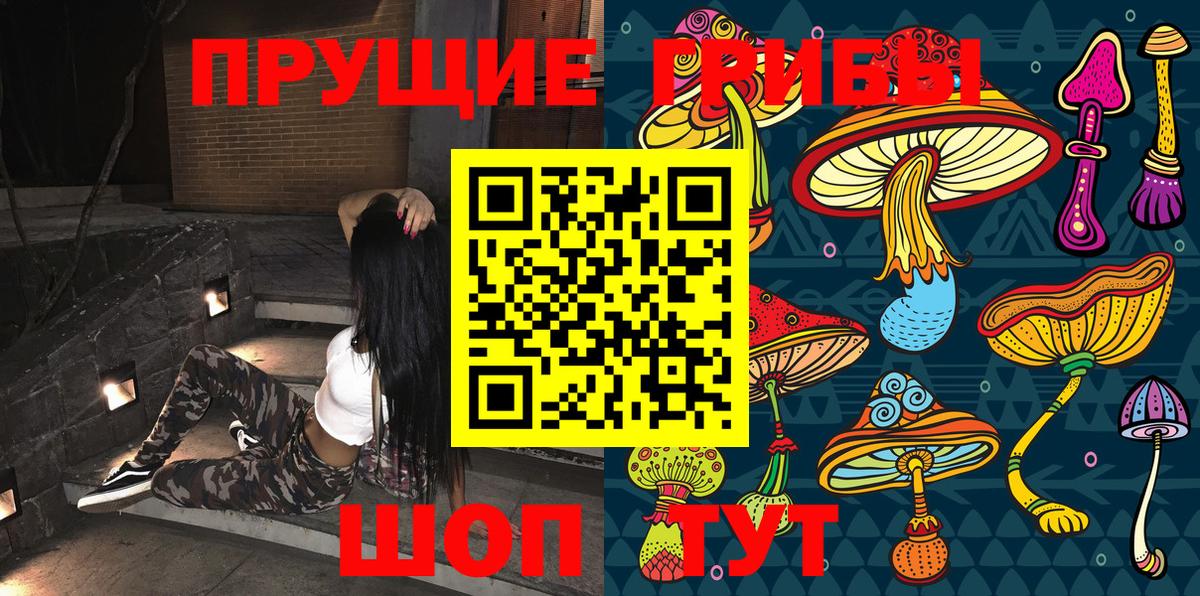 Бутурлиновка  Псилоцибиновые грибы MAGIC MUSHROOMS  Вход с VPN 