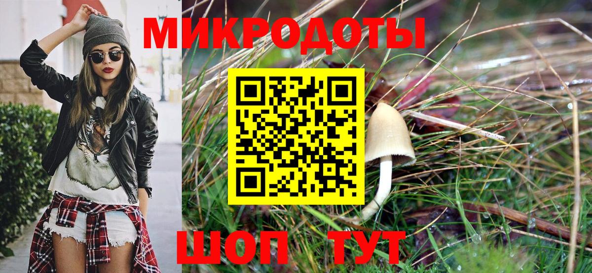 Псилоцибиновые грибы Psilocybe Бутурлиновка